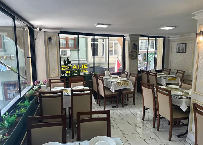 伊斯坦布尔爱莫尔酒店 伊斯坦布尔