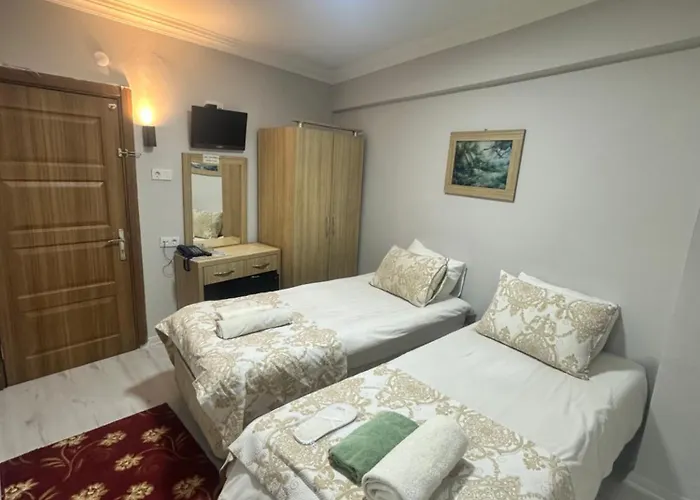 酒店 伊斯坦布尔爱莫尔酒店 3*