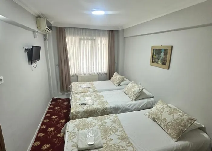 伊斯坦布尔爱莫尔酒店 伊斯坦布尔