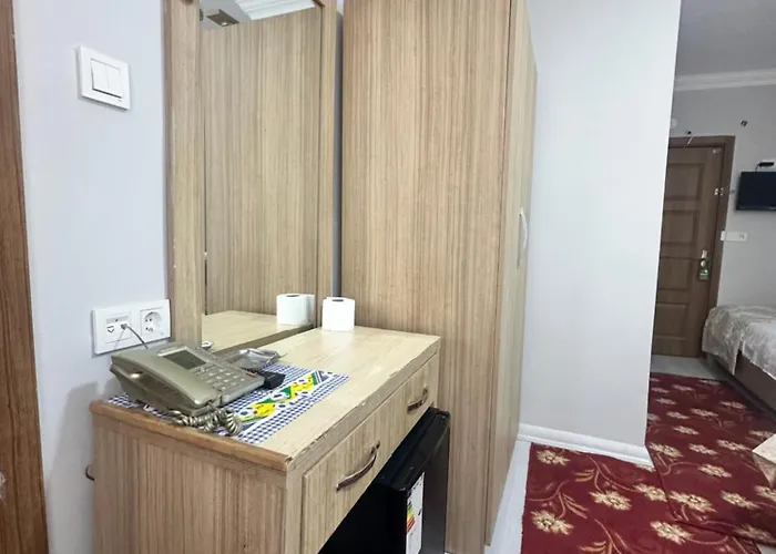 酒店 伊斯坦布尔爱莫尔酒店