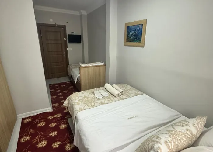 伊斯坦布尔爱莫尔酒店