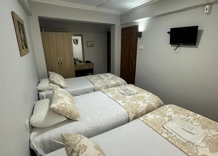 伊斯坦布尔爱莫尔酒店 酒店 伊斯坦布尔