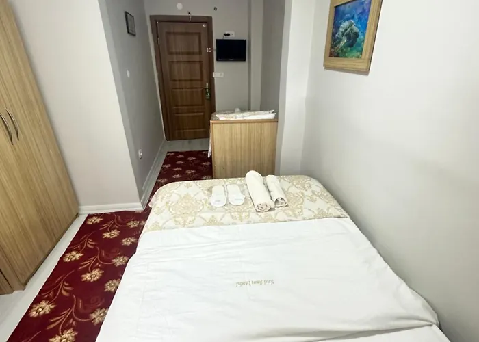 酒店 伊斯坦布尔爱莫尔酒店 伊斯坦布尔