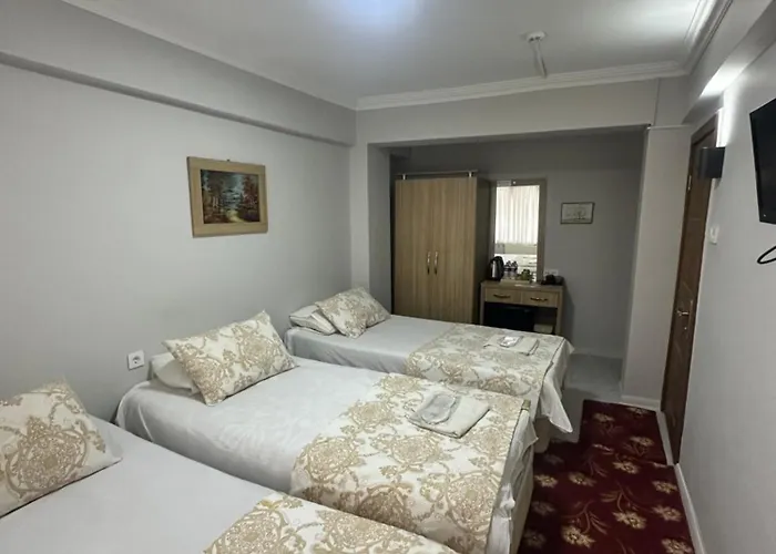 伊斯坦布尔爱莫尔酒店 伊斯坦布尔