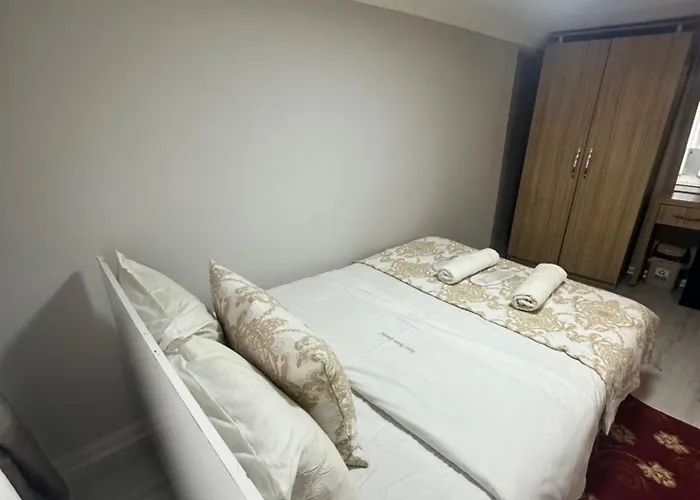 伊斯坦布尔爱莫尔酒店 酒店