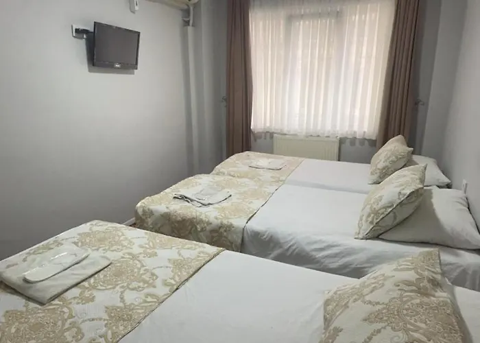 伊斯坦布尔爱莫尔酒店 酒店 3*