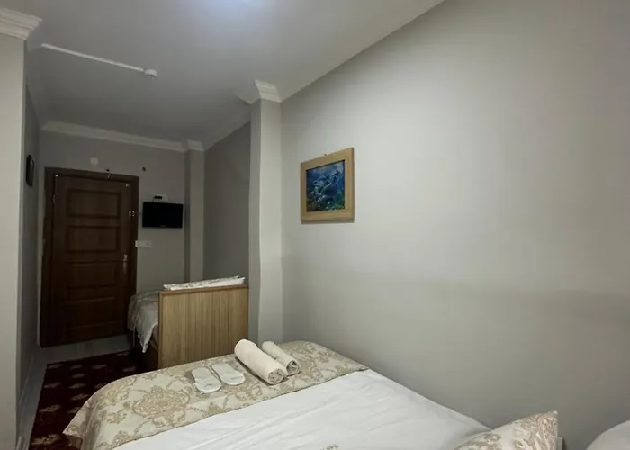 伊斯坦布尔爱莫尔酒店 酒店 伊斯坦布尔