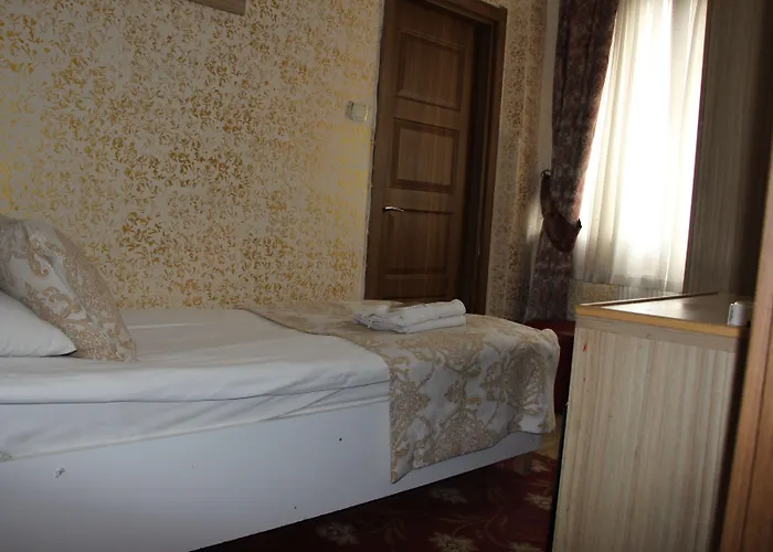 伊斯坦布尔爱莫尔酒店 酒店 伊斯坦布尔