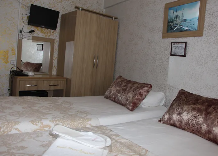 酒店 伊斯坦布尔爱莫尔酒店 3*