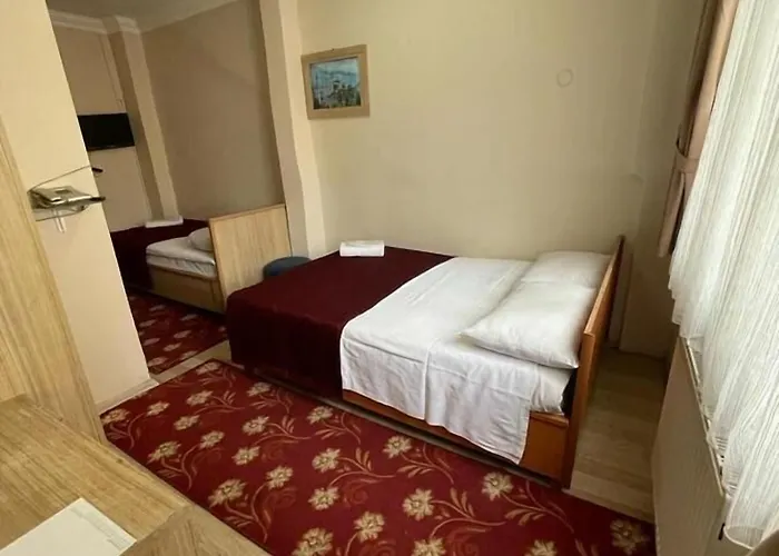 伊斯坦布尔爱莫尔酒店 3*